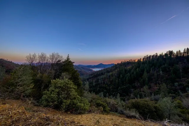 a view of a city with lush green forest