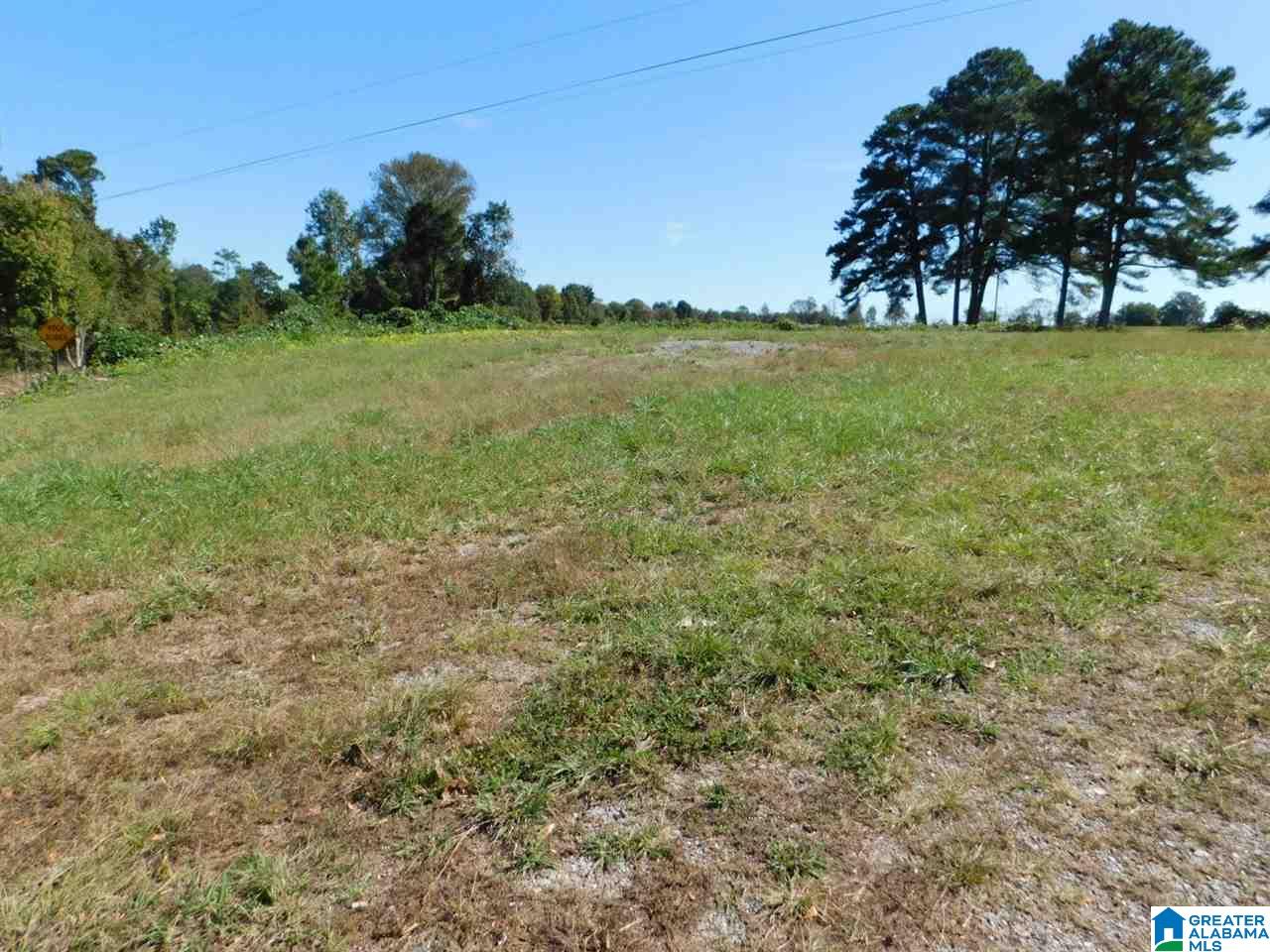 0 Highway 231, Unit 1 Oneonta, AL 35121 - Photo 3 of 6