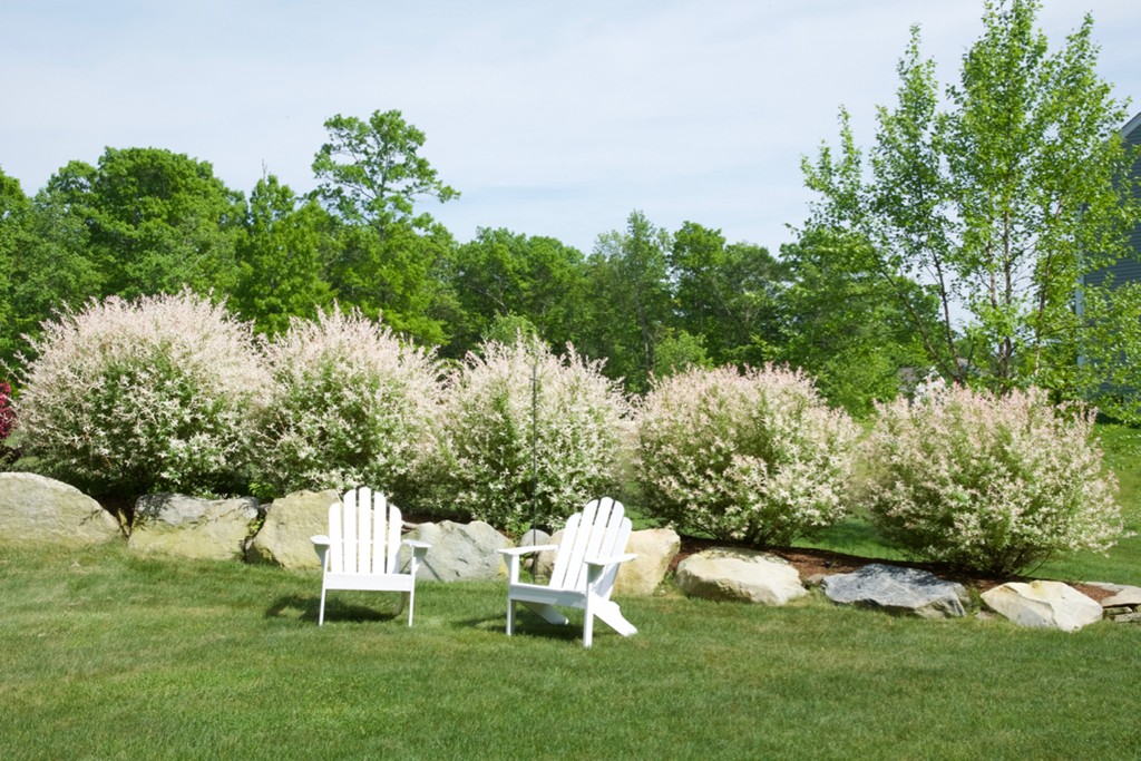 2662 Courtlyn Road Dighton, MA 02715 - Photo 22 of 22 Gallery Image 22