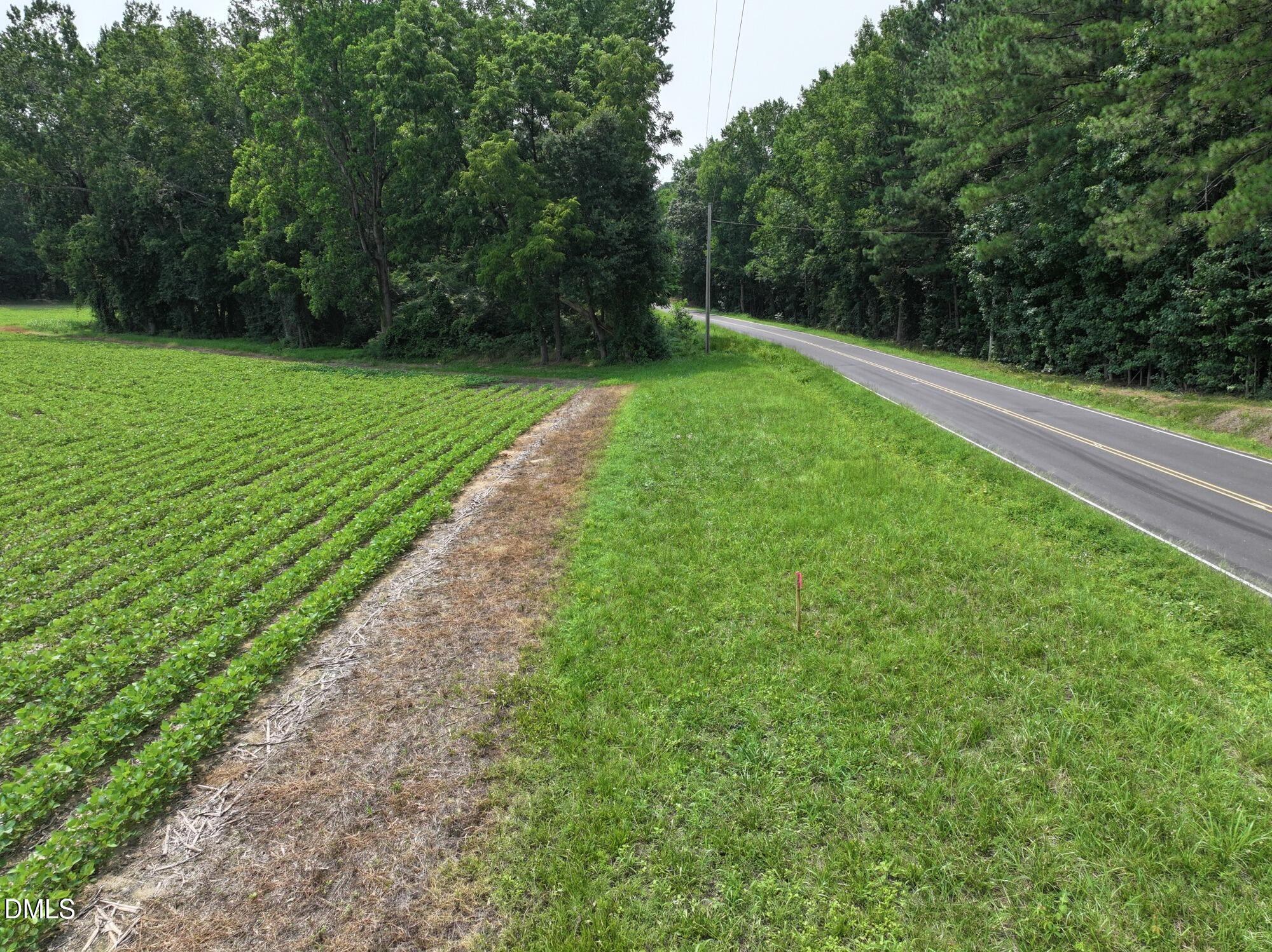 Lot 4 Claude Lewis Road Bailey, NC 27807 - Photo 3 of 14 2 (10)_MLS