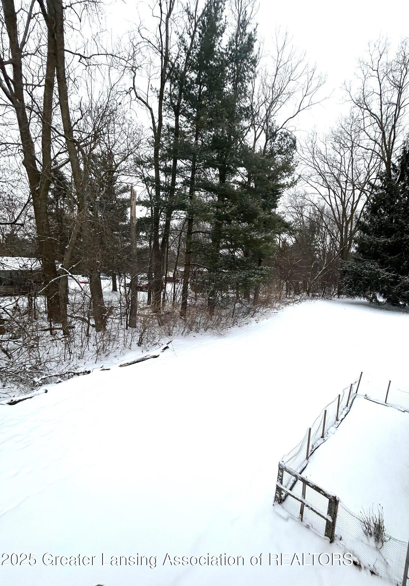 1717 Maple Ridge Road, Unit 49 Haslett, MI 48840 - Photo 20 of 23 Yard