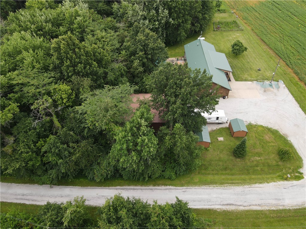 2602 East 1800 North Road Moweaqua, IL 62550 - Photo 6 of 42