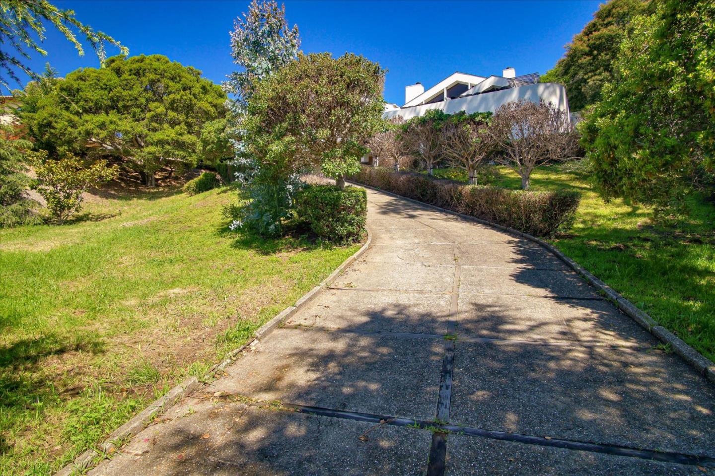 3435 Rio Road Carmel, CA 93923 - Photo 22 of 69 a view of a yard with plants