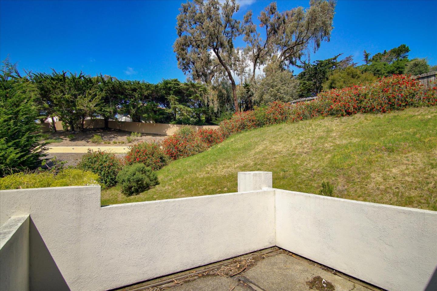 3435 Rio Road Carmel, CA 93923 - Photo 63 of 69 a view of a swimming pool with a yard and large tree