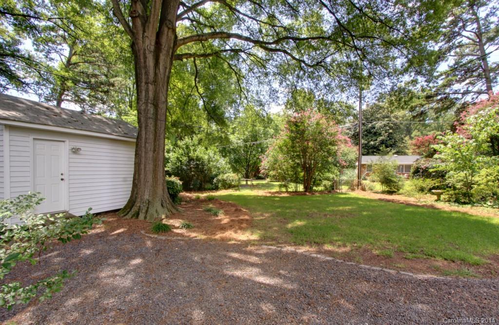 538 Scaleybark Road Charlotte, NC 28209 - Photo 19 of 20 a view of a yard with plants and trees