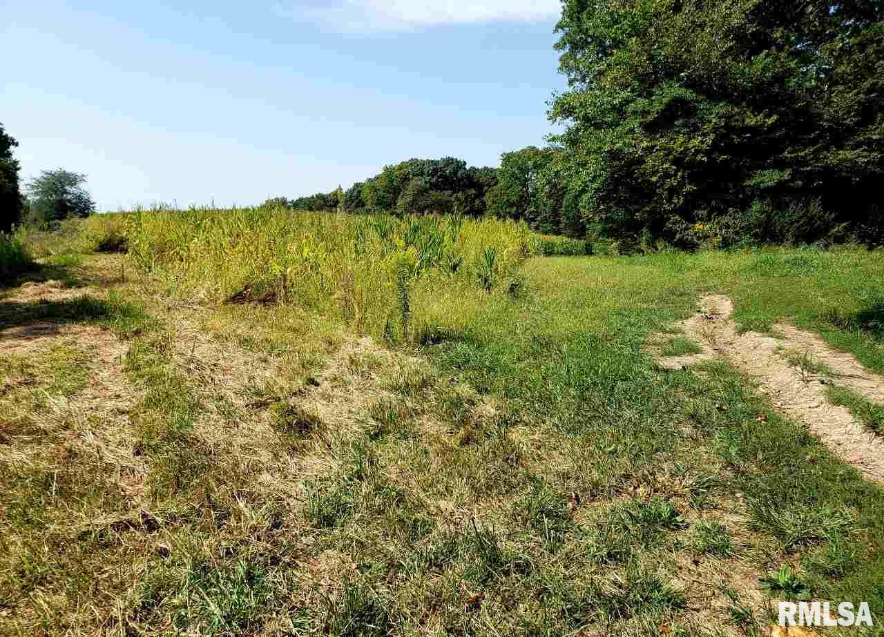 0 North Roskamp Road Canton, IL 61520 - Photo 1 of 7 Gallery Image 1