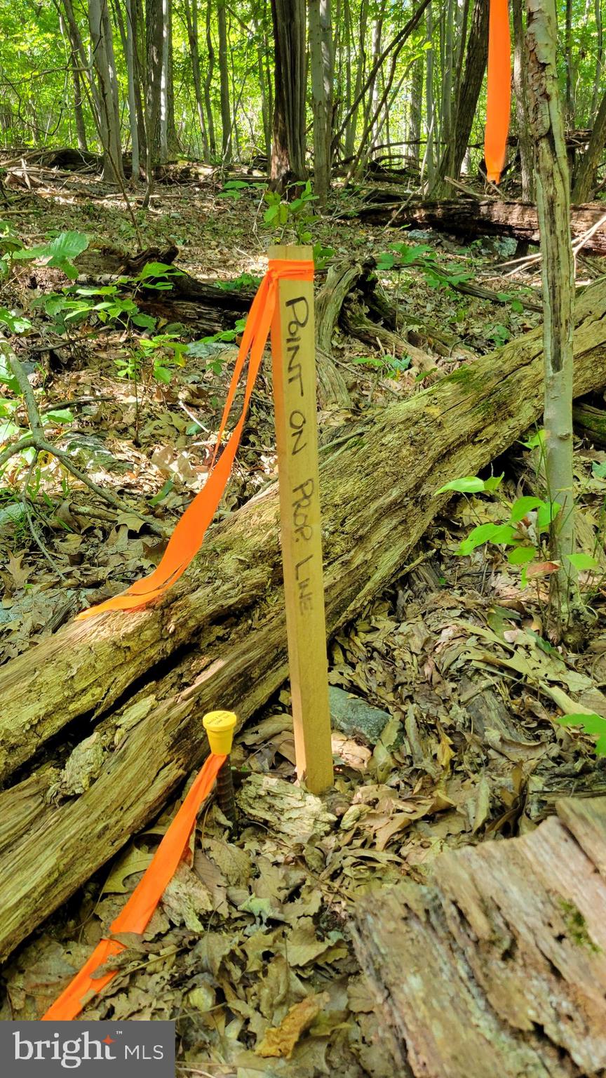 Edgemont Road Frederick, MD 21702 - Photo 11 of 16 Point on line dividing two parcels