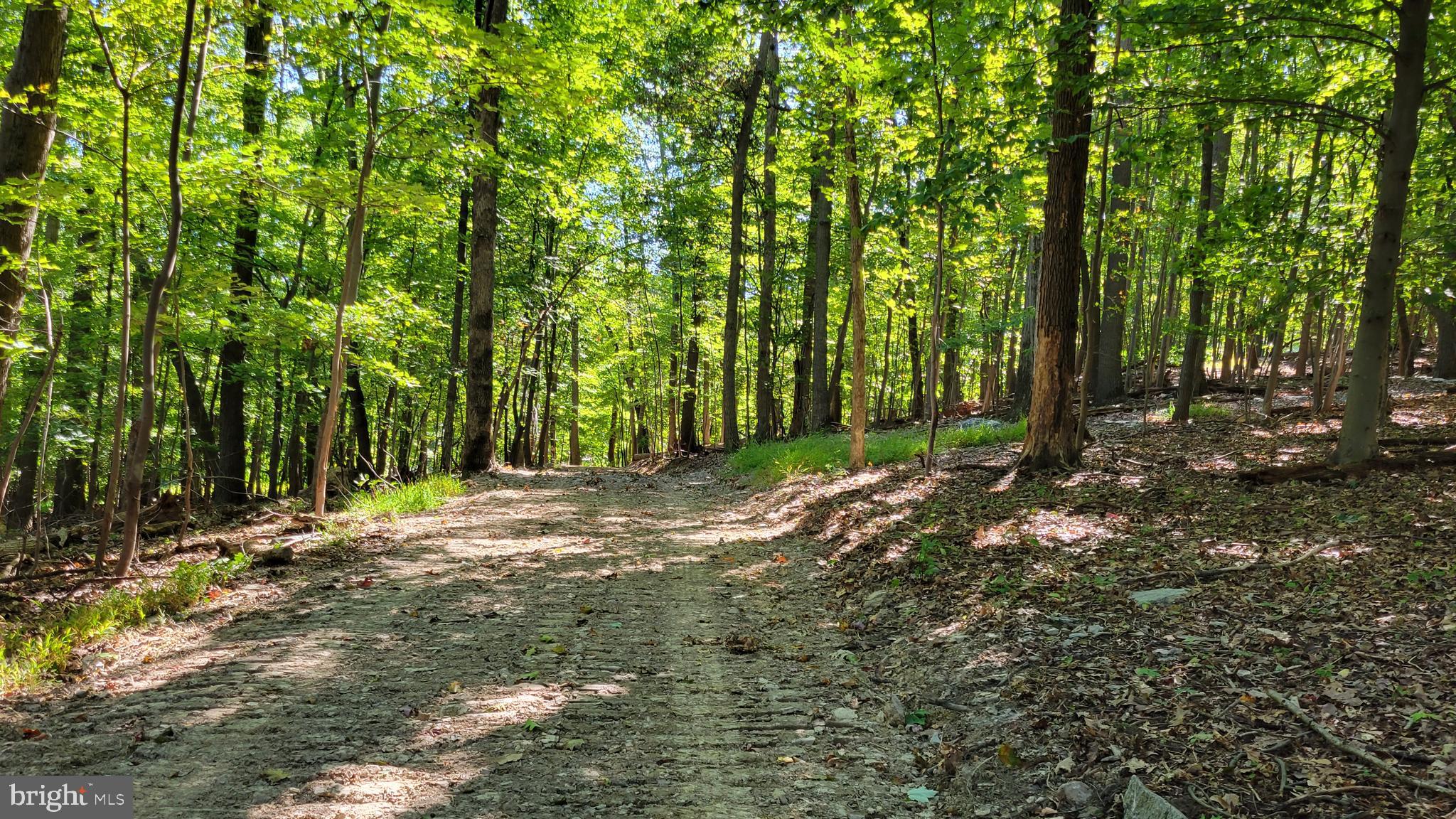 Edgemont Road Frederick, MD 21702 - Photo 14 of 16