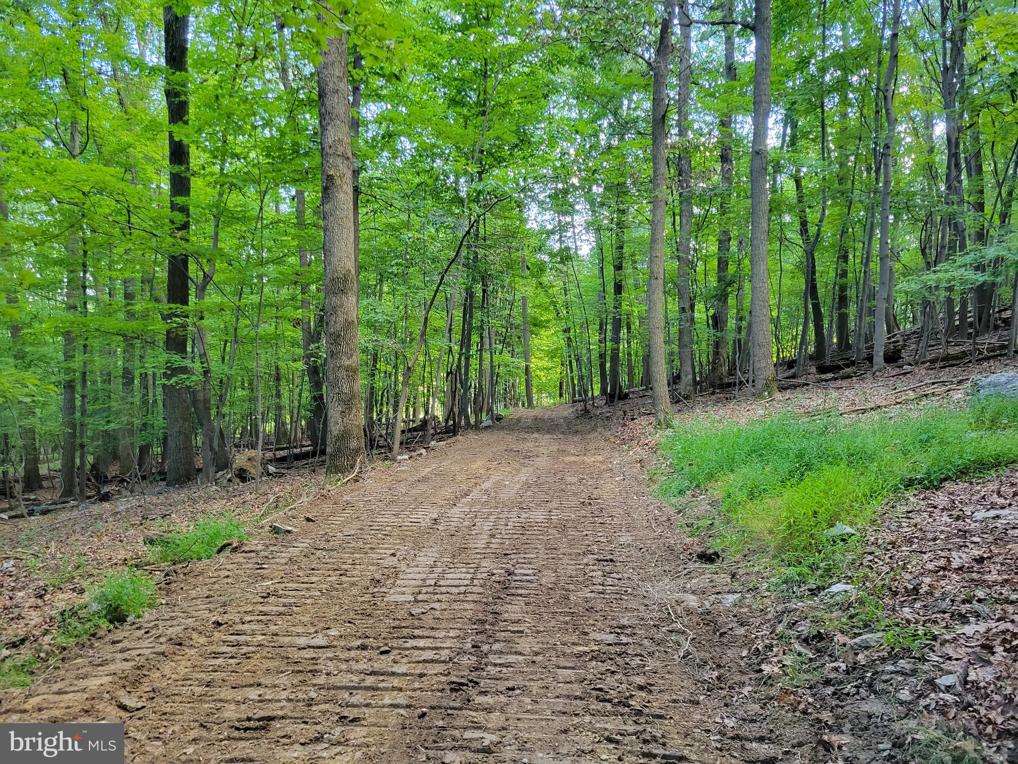 Edgemont Road Frederick, MD 21702 - Photo 3 of 16