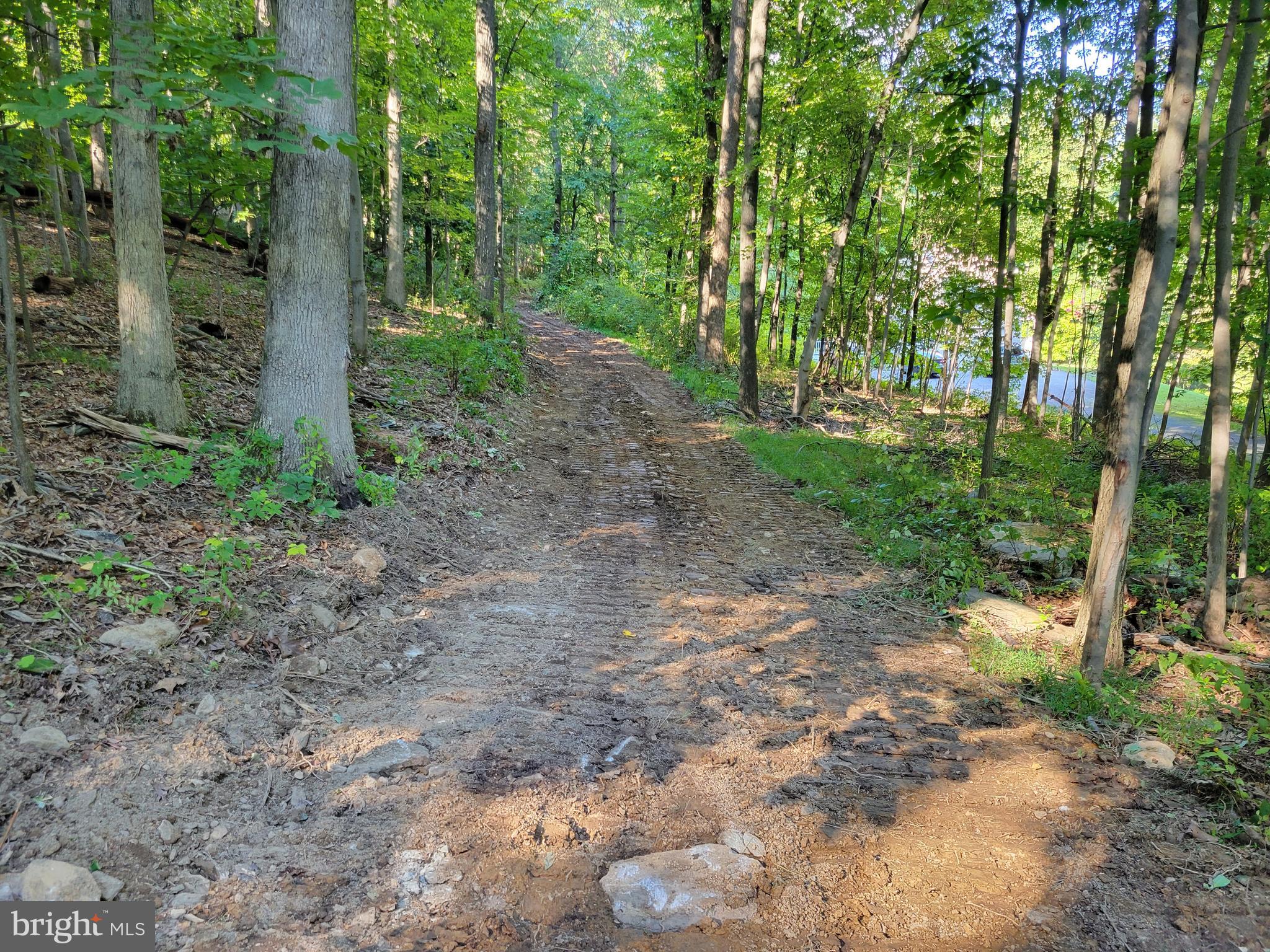 Edgemont Road Frederick, MD 21702 - Photo 4 of 16