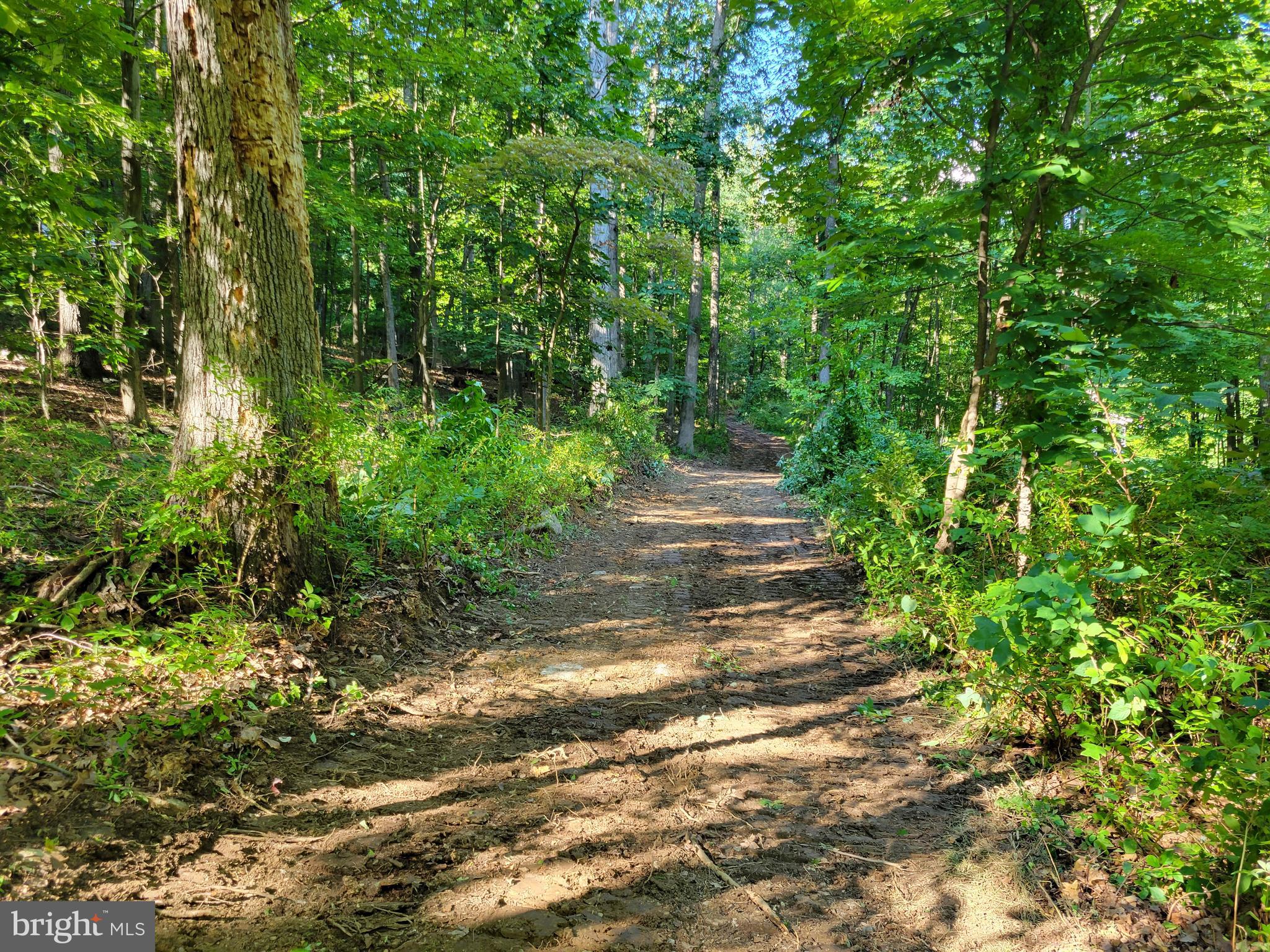 Edgemont Road Frederick, MD 21702 - Photo 5 of 16