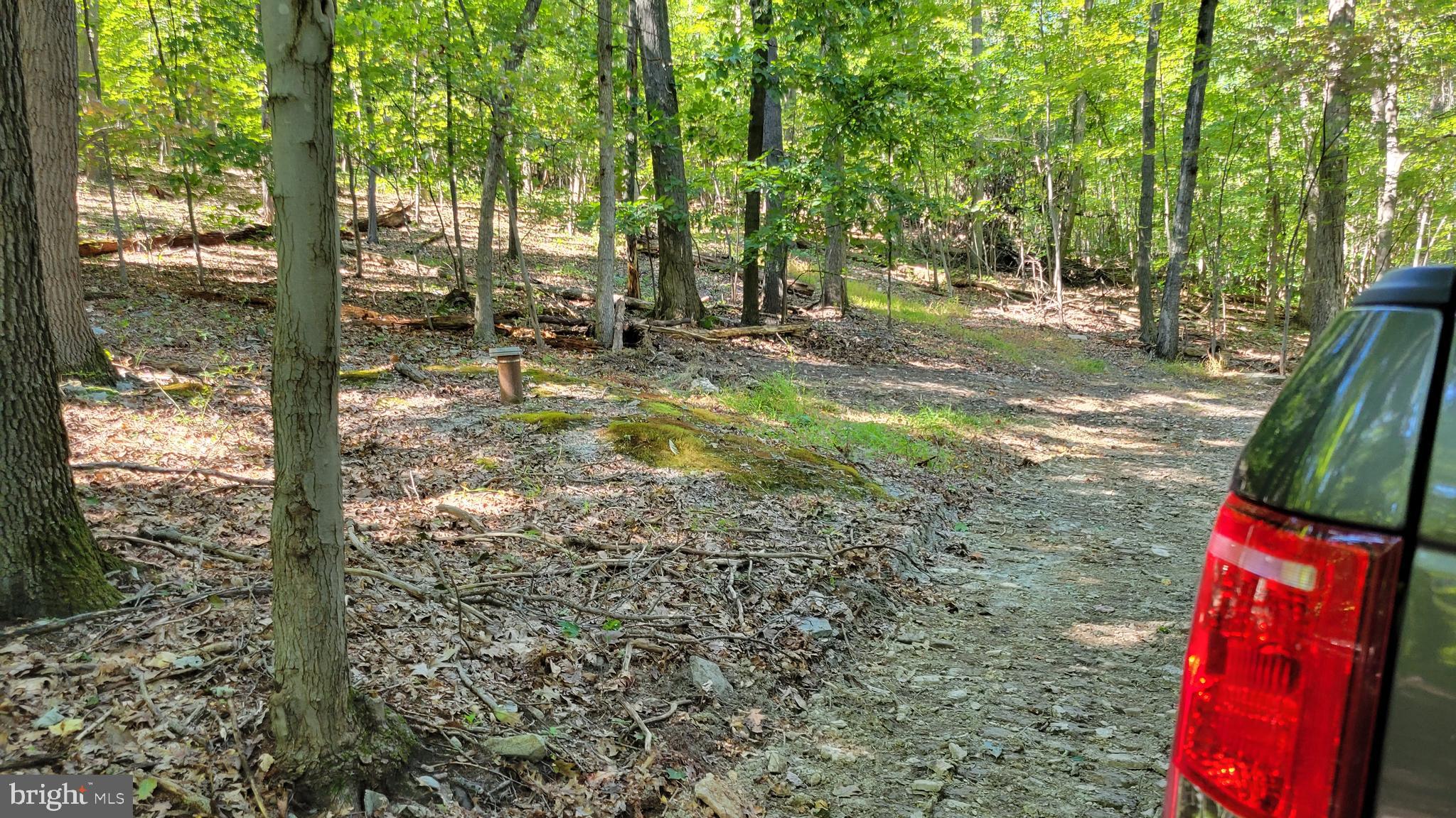 Edgemont Road Frederick, MD 21702 - Photo 6 of 16 Existing well is to the left of the driveway