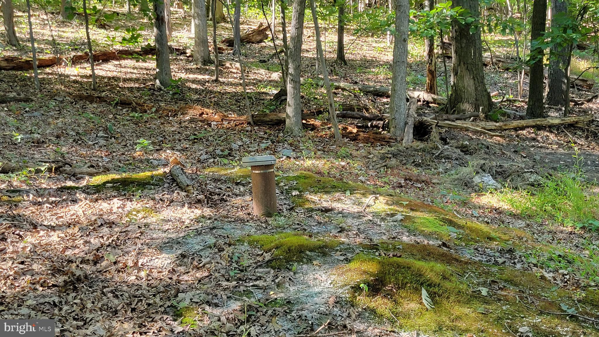 Edgemont Road Frederick, MD 21702 - Photo 7 of 16 existing well