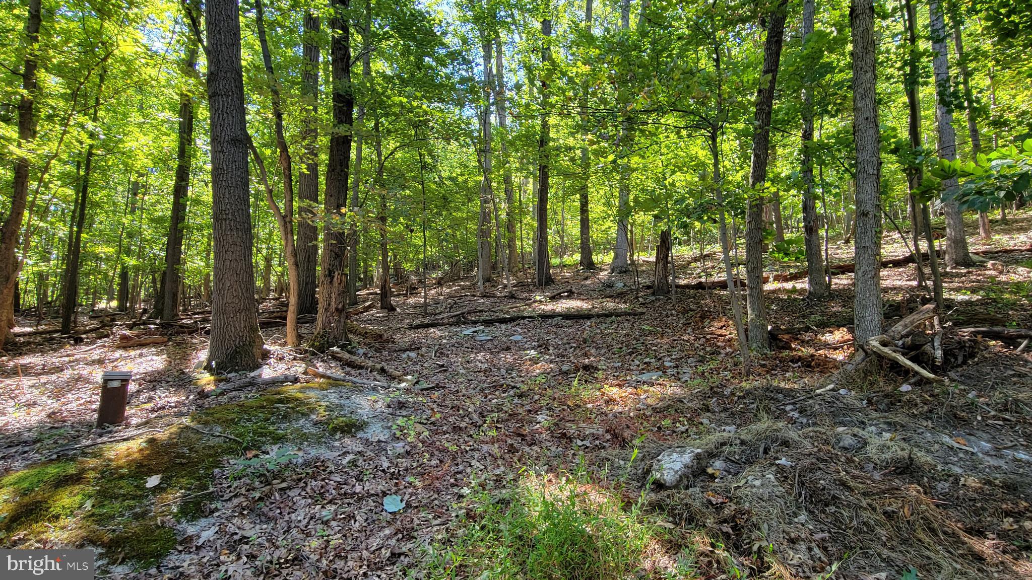 Edgemont Road Frederick, MD 21702 - Photo 8 of 16