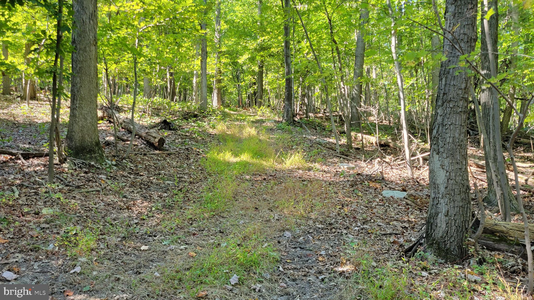 Edgemont Road Frederick, MD 21702 - Photo 10 of 16 f