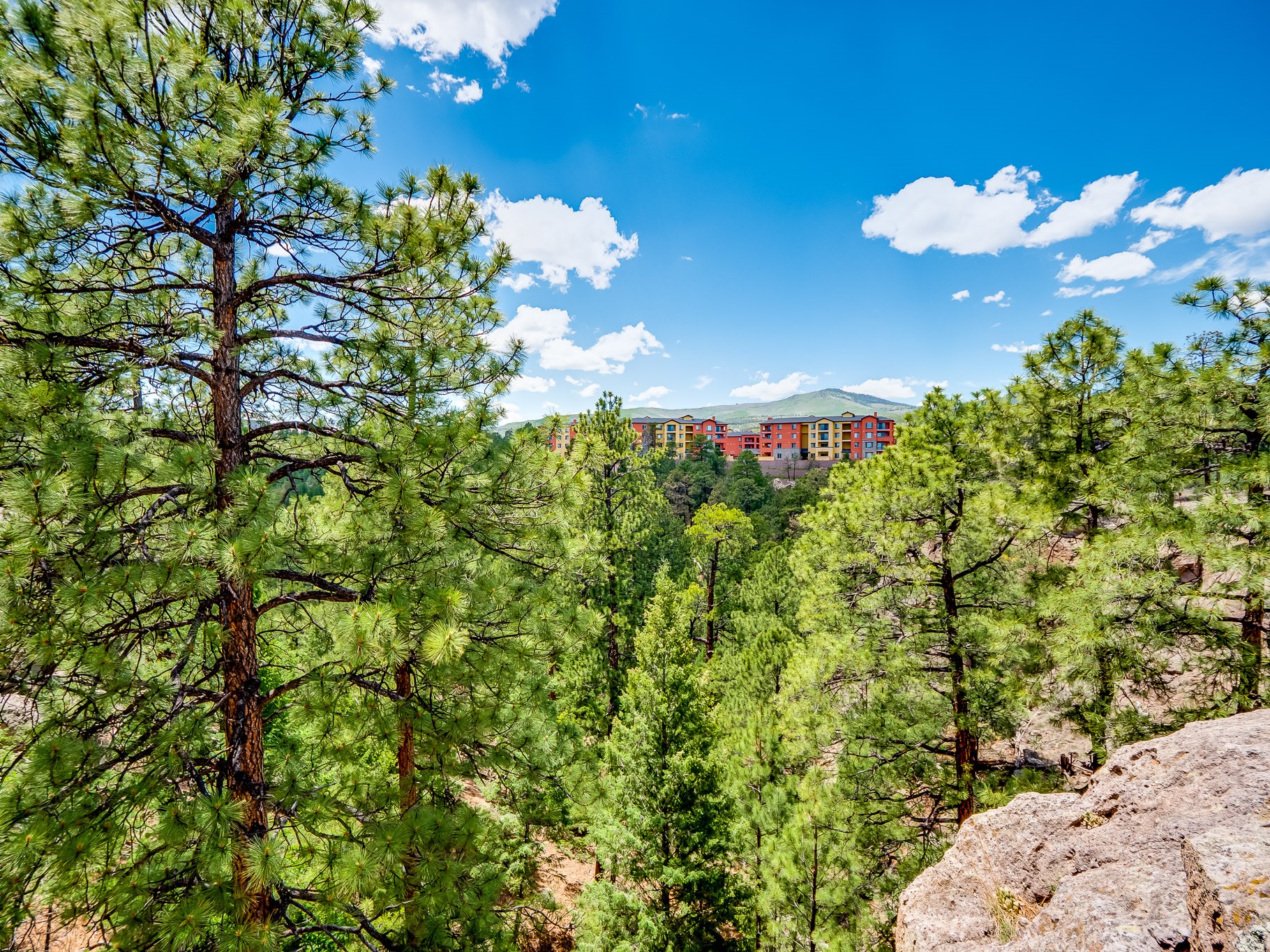 60 Canyon View Road Los Alamos, NM 87544 - Photo 67 of 67