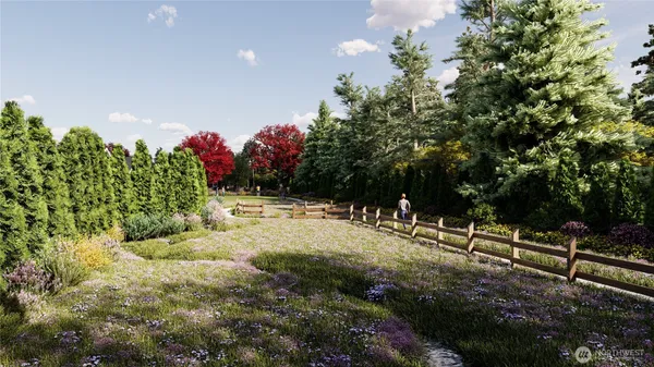 a view of a pathway with a tree