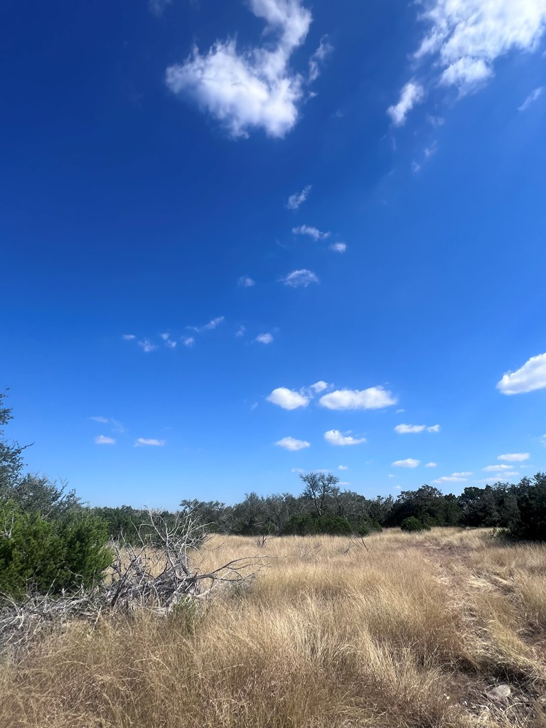 0 Fairview Road Rocksprings, TX 78880 - Photo 13 of 26