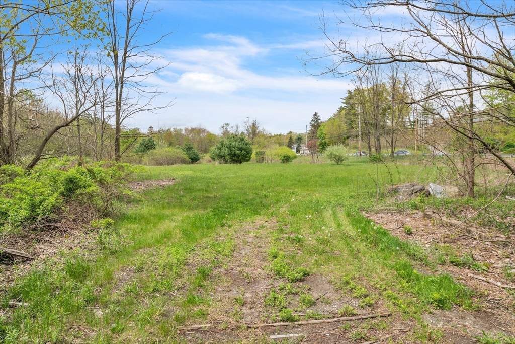 101 Ware Street Palmer, MA 01069 - Photo 4 of 26 a view of a yard with an trees
