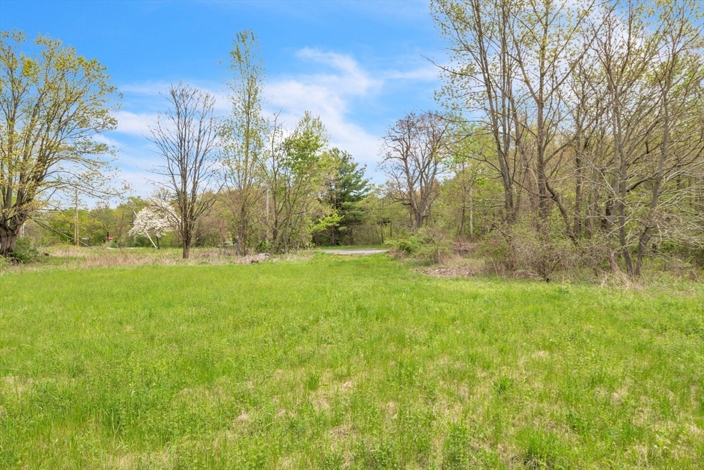 101 Ware Street Palmer, MA 01069 - Photo 7 of 26 a view of a yard with a tree