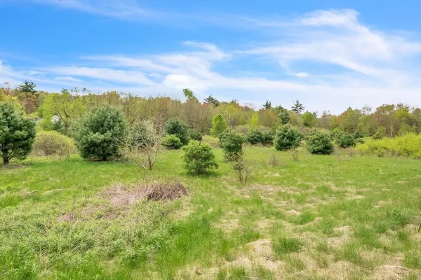 a view of a yard with an trees