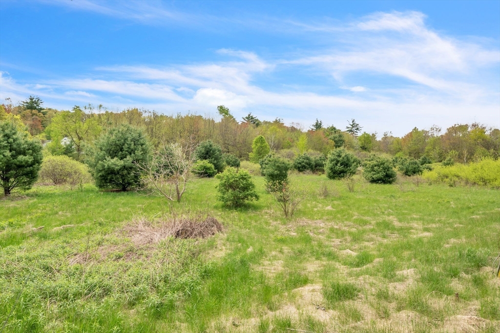 101 Ware Street Palmer, MA 01069 - Photo 8 of 26 a view of a yard with an trees