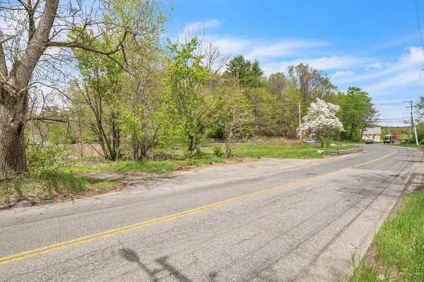a view of road view with large trees