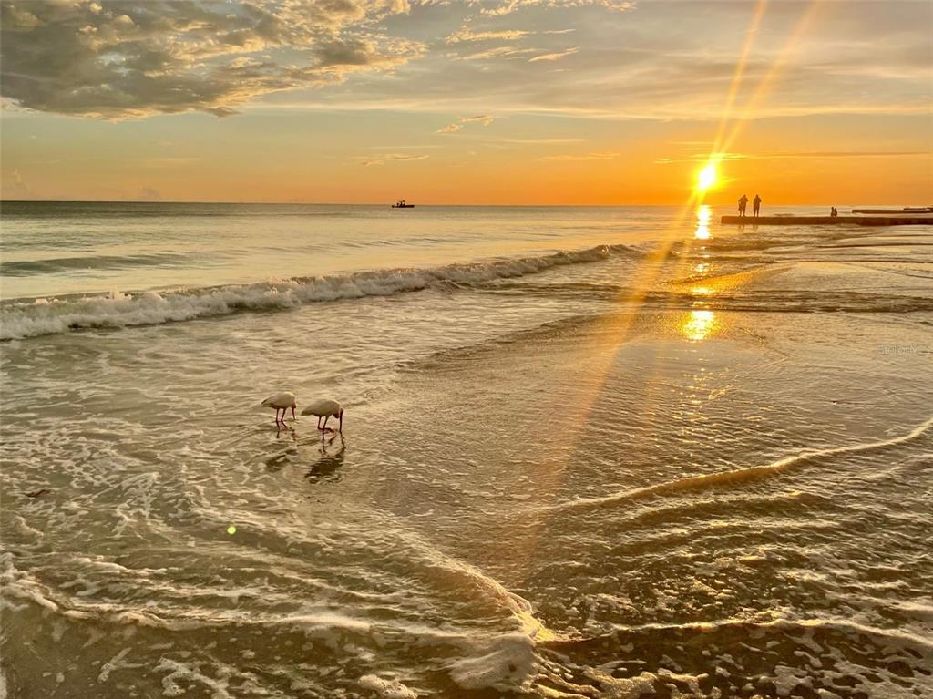 874 Bay Point Drive Madeira Beach, FL 33708 - Photo 83 of 93