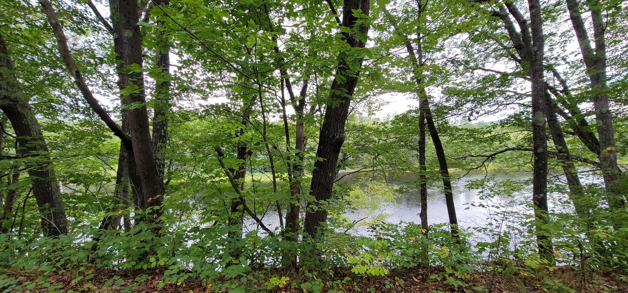 592 River Road Canton, ME 04221 - Photo 12 of 14 13 Water Views