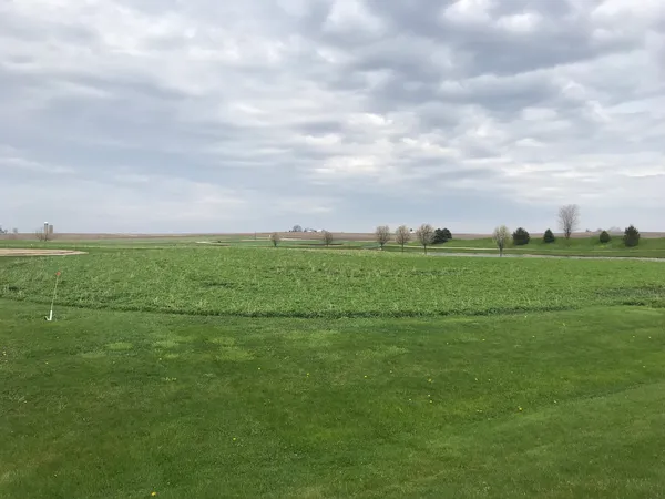 a view of a field with an ocean and trees