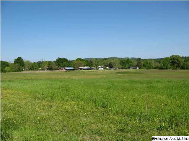 1475 Odens Mill Road Sylacauga, AL 35150 - Photo 28 of 28