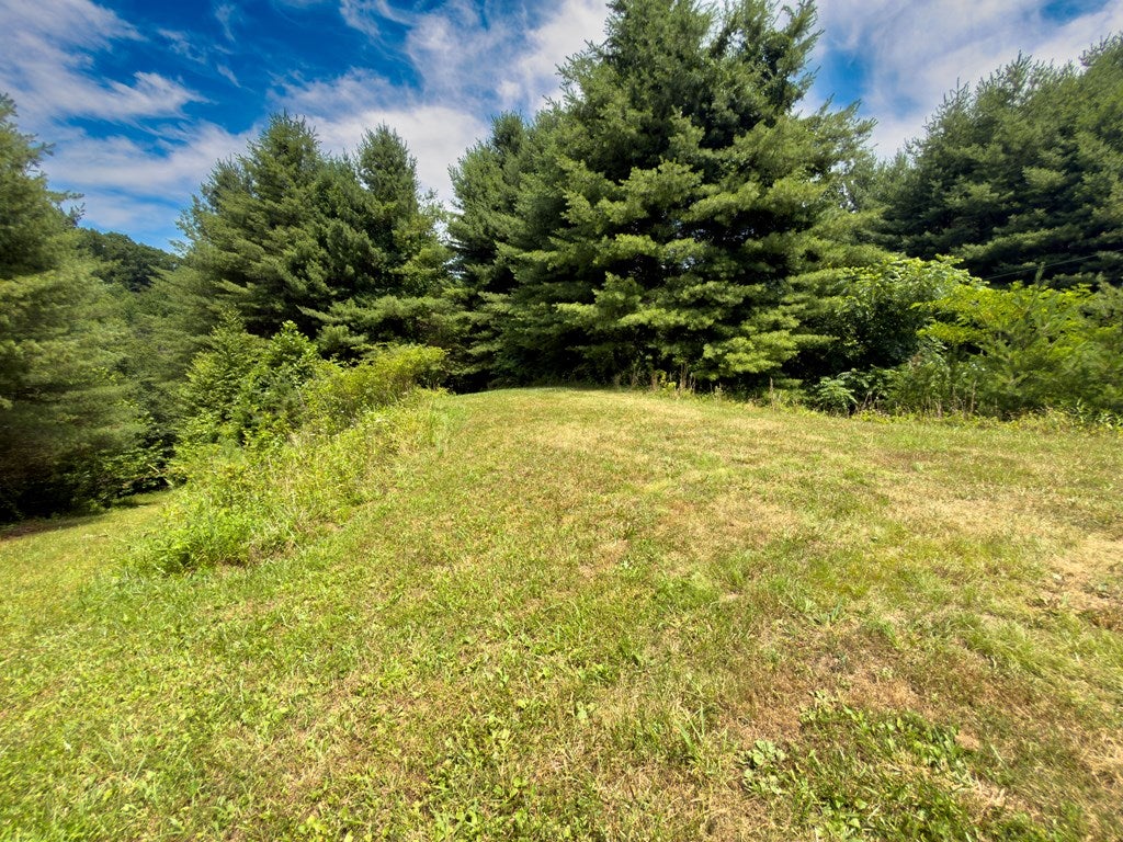 Tbd Tbd Little Vine Road Hillsville, VA 24343 - Photo 22 of 43 Gallery Image 22