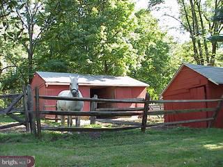1182 Swamp Road Furlong, PA 18925 - Photo 6 of 6