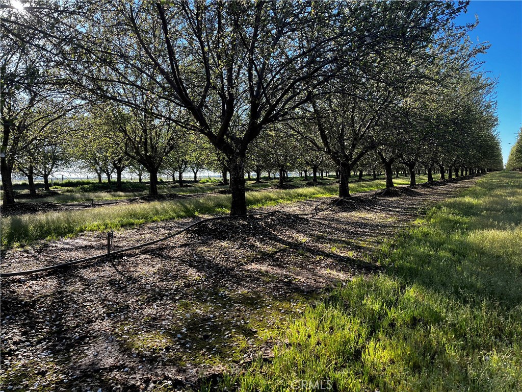 24186 Orangewood Road Corning, CA 96021 - Photo 1 of 1 Gallery Image 1