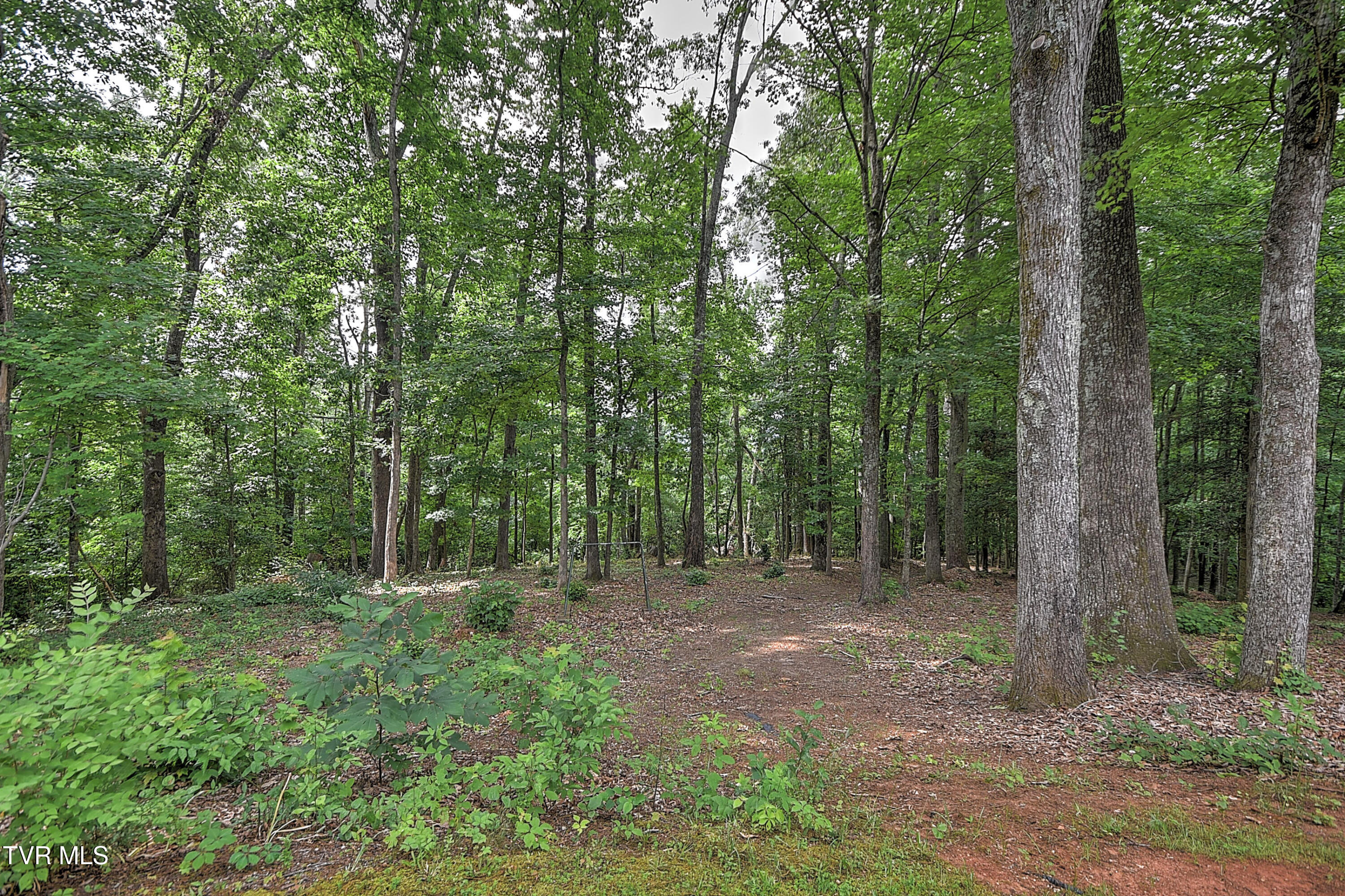 145 Zeb Grindstaff Road Elizabethton, TN 37643 - Photo 54 of 68 145 Zeb Grindstaff JV-58