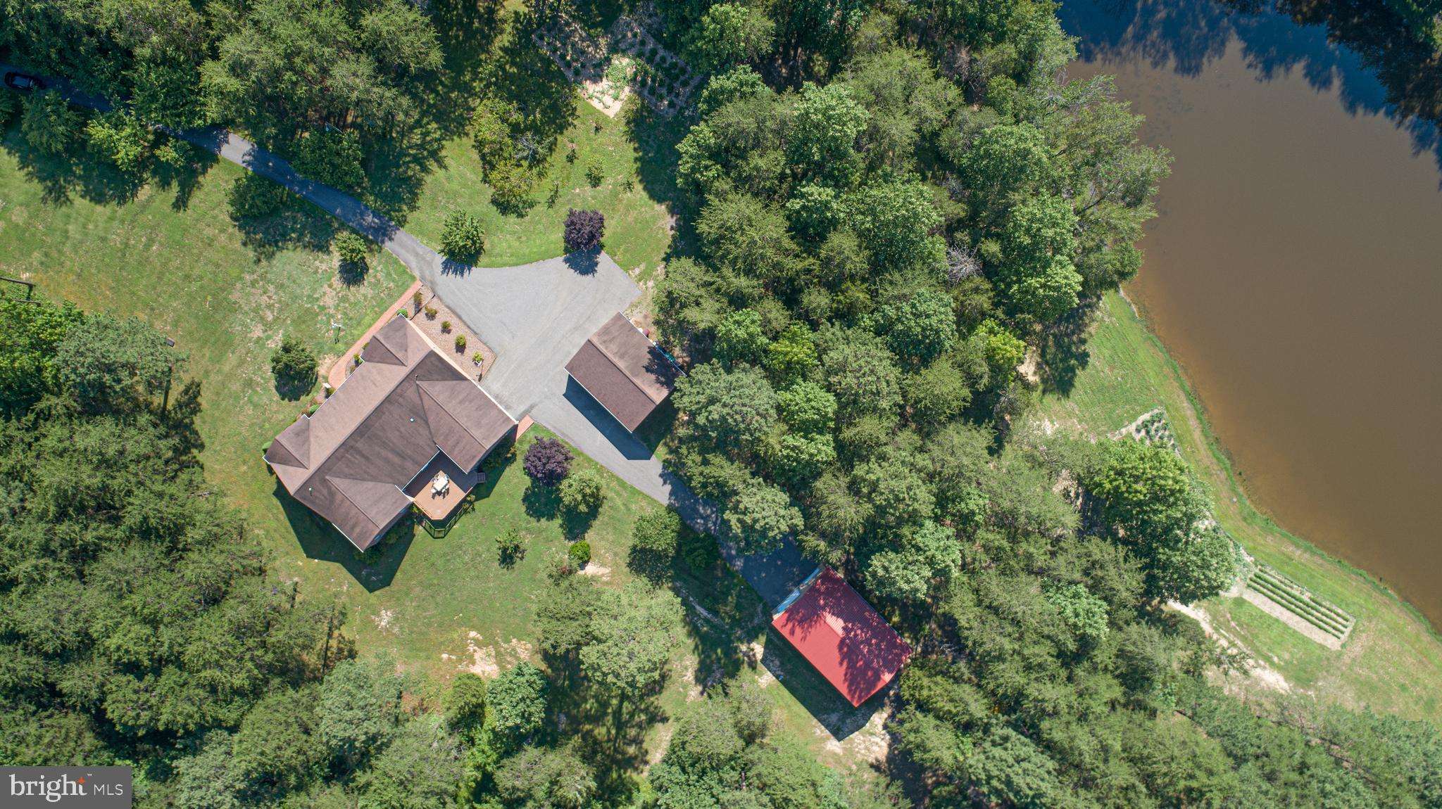 7376 Courthouse Road Spotsylvania, VA 22551 - Photo 3 of 54 Gorgeous land with a pond!