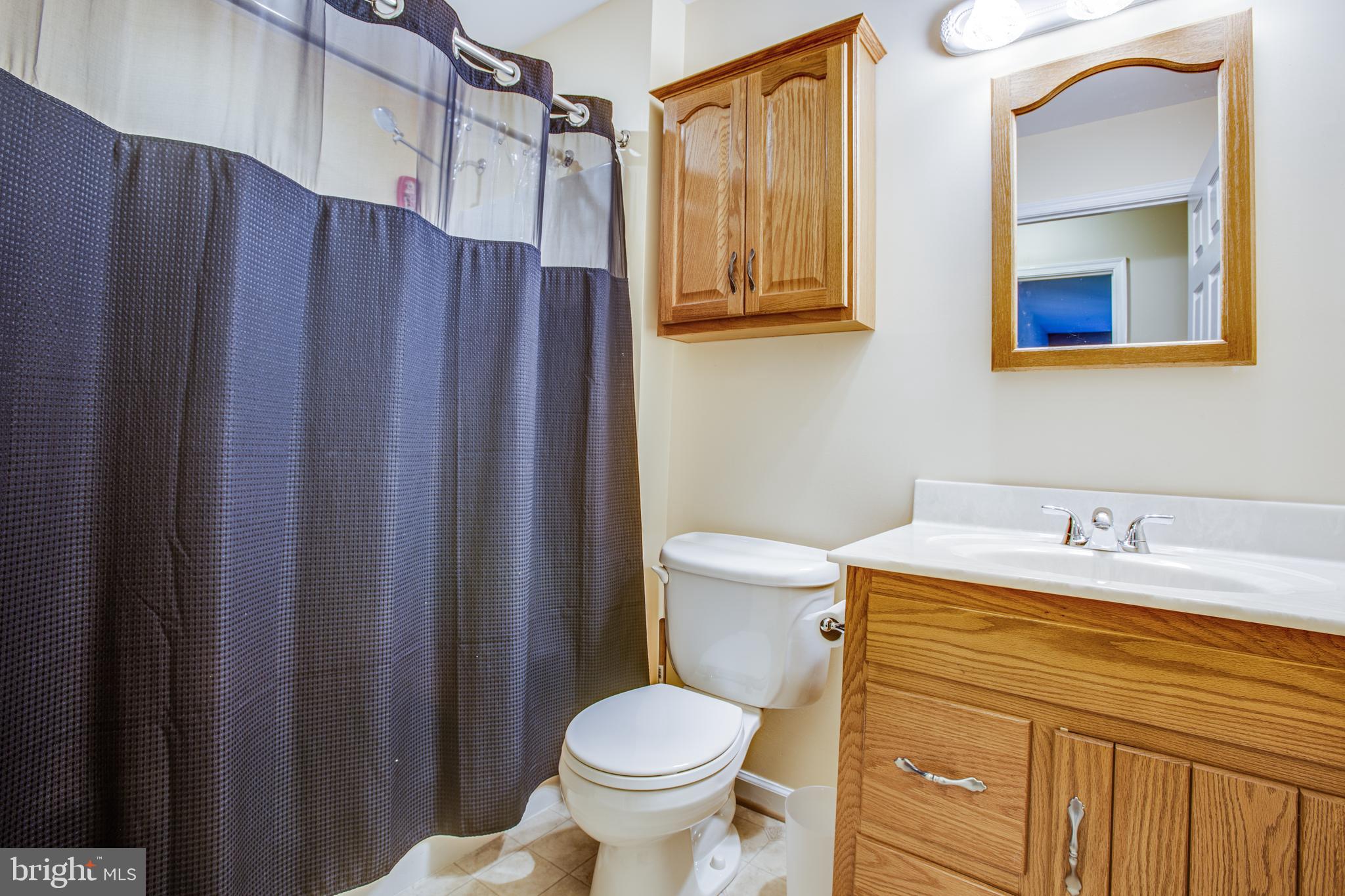 7376 Courthouse Road Spotsylvania, VA 22551 - Photo 28 of 54 Hall bathroom