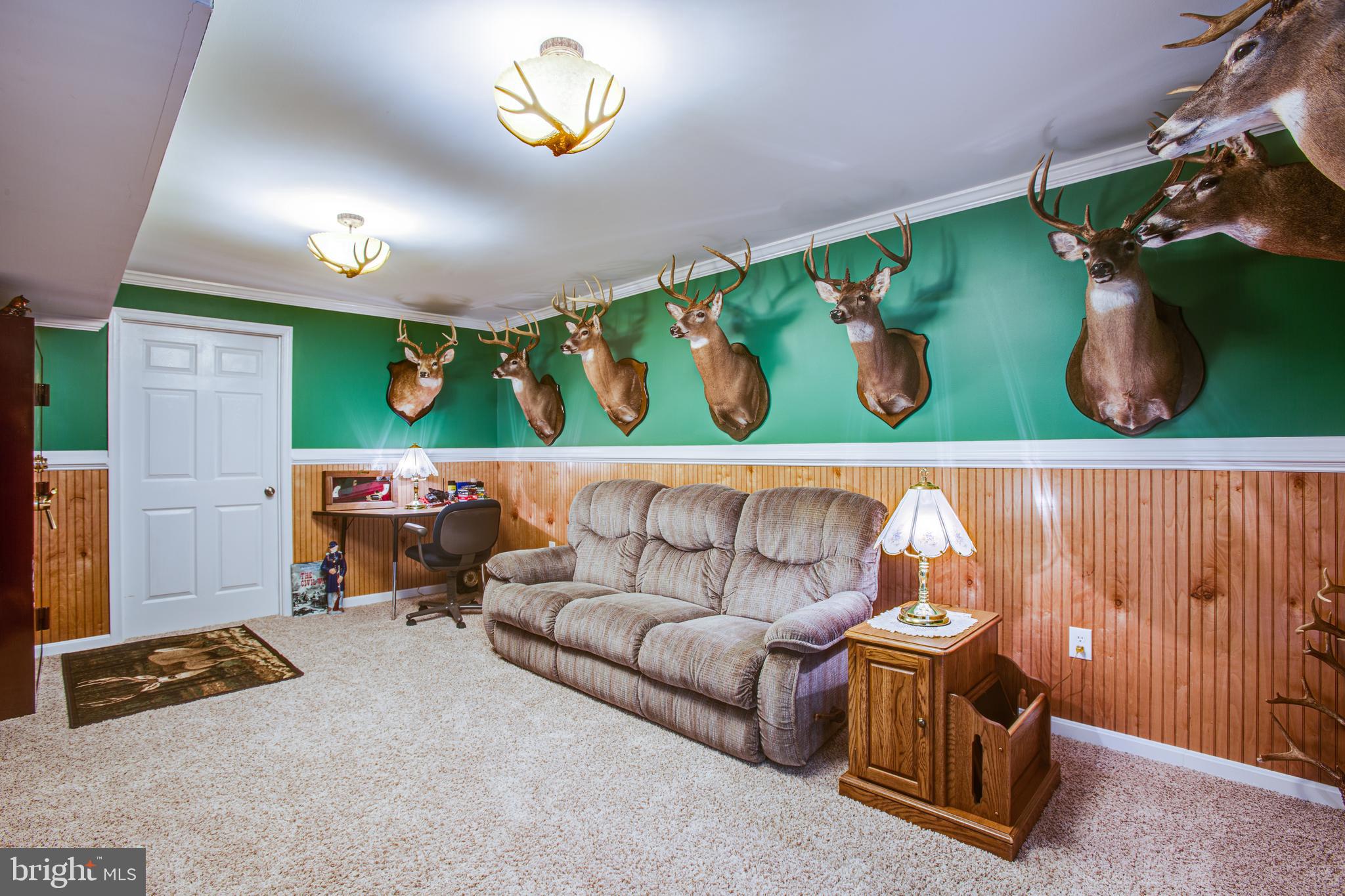 7376 Courthouse Road Spotsylvania, VA 22551 - Photo 38 of 54 Basement man cave!