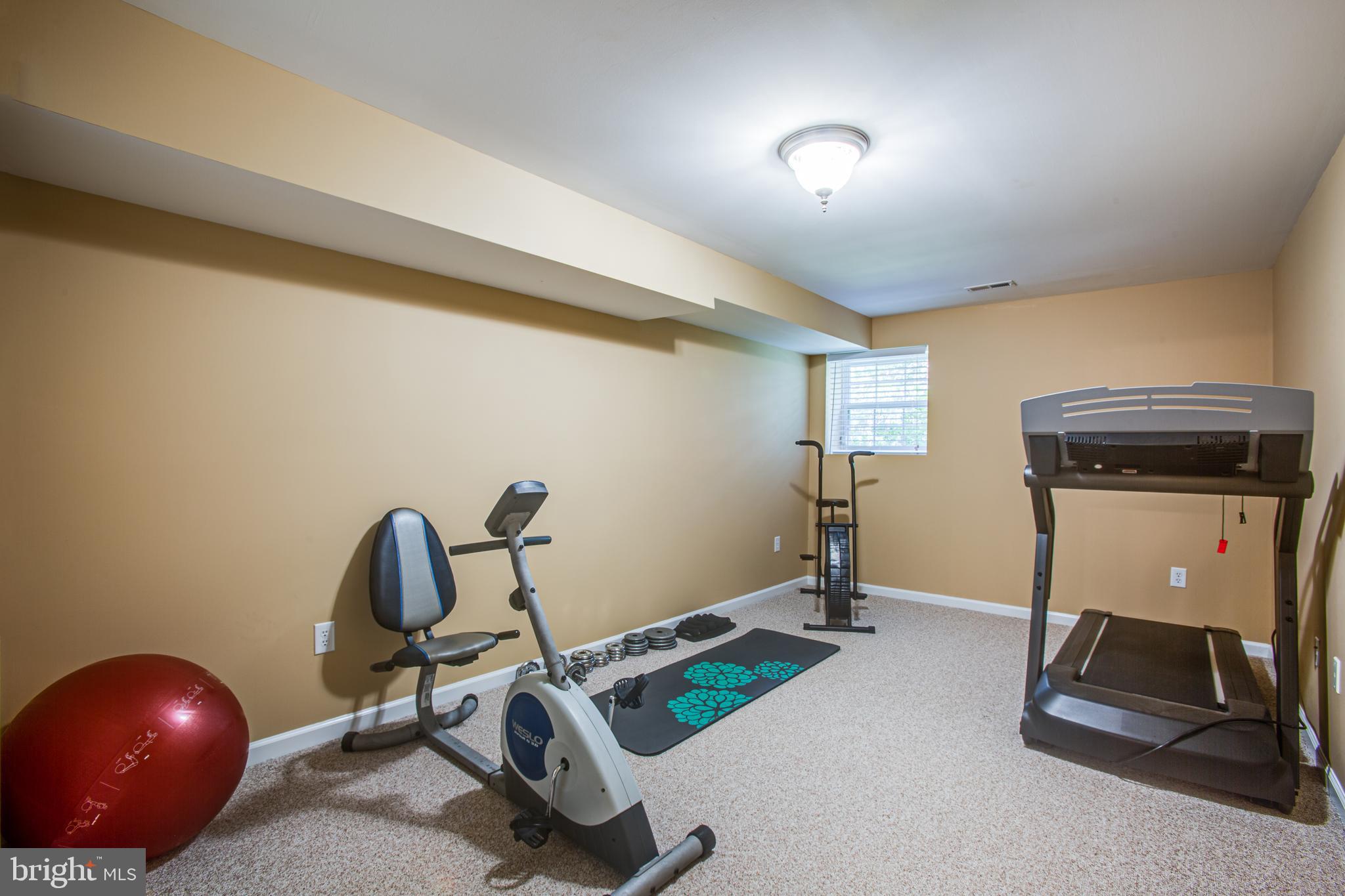 7376 Courthouse Road Spotsylvania, VA 22551 - Photo 39 of 54 Basement bedroom, gym or craft room!