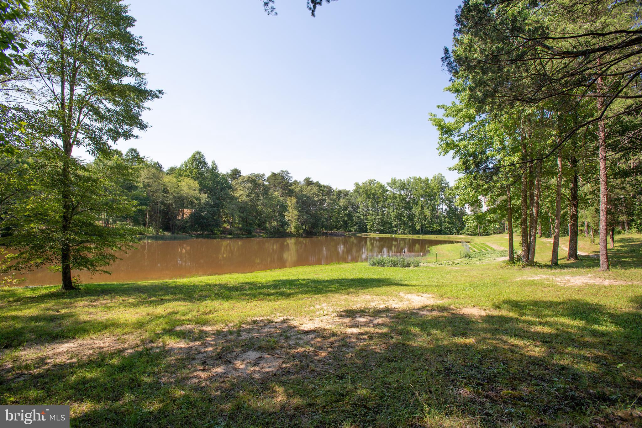 7376 Courthouse Road Spotsylvania, VA 22551 - Photo 41 of 54 So peaceful!