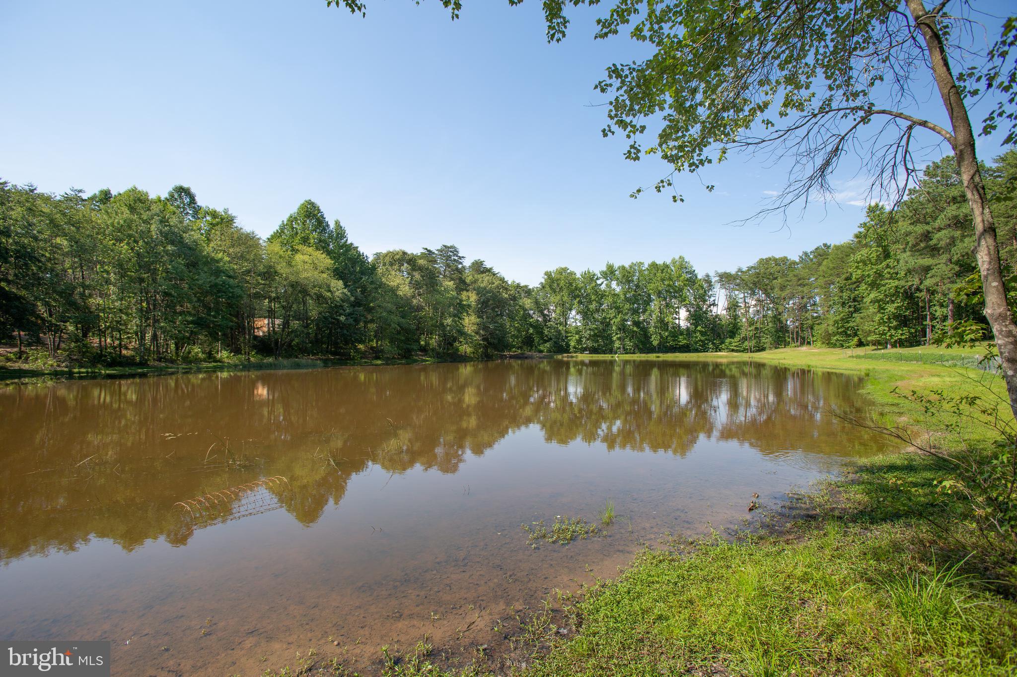 7376 Courthouse Road Spotsylvania, VA 22551 - Photo 42 of 54 Imagine having coffee pond-side!