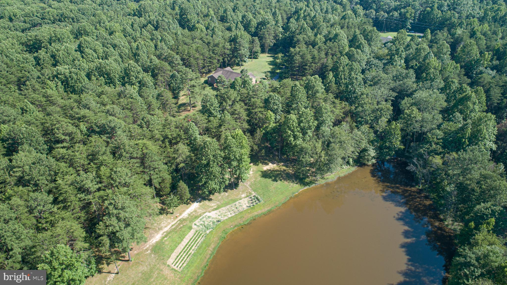 7376 Courthouse Road Spotsylvania, VA 22551 - Photo 52 of 54 The pond is stocked!