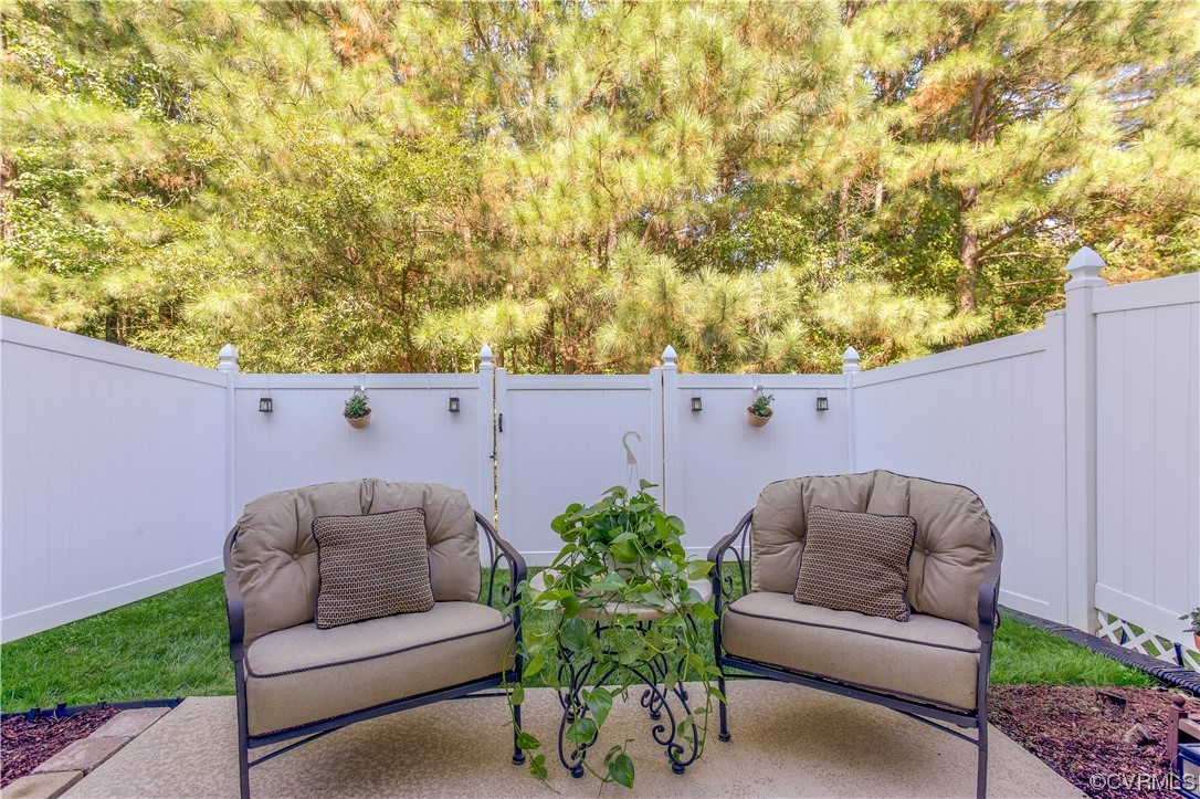 13312 Ridgemoor Lane Midlothian, VA 23114 - Photo 33 of 38 View of patio