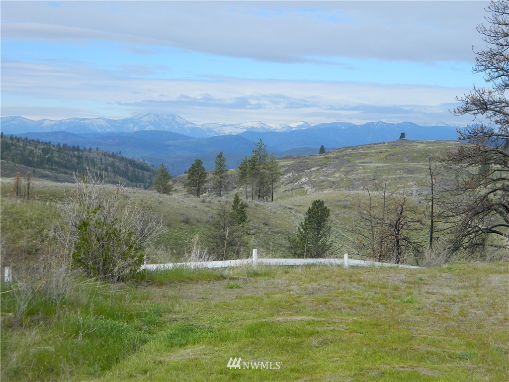 460 McLaughlin Canyon Road Riverside, WA 98849 - Photo 2 of 10 Gallery Image 2