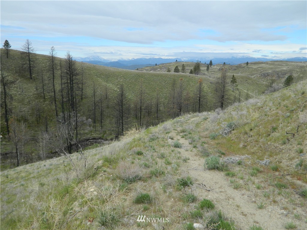 460 McLaughlin Canyon Road Riverside, WA 98849 - Photo 3 of 10 Gallery Image 3