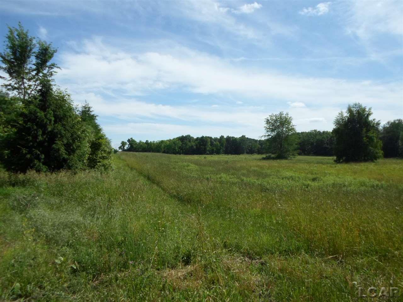 12000 Stephenson Road, Unit PARCEL A Brooklyn, MI 49230 - Photo 39 of 49