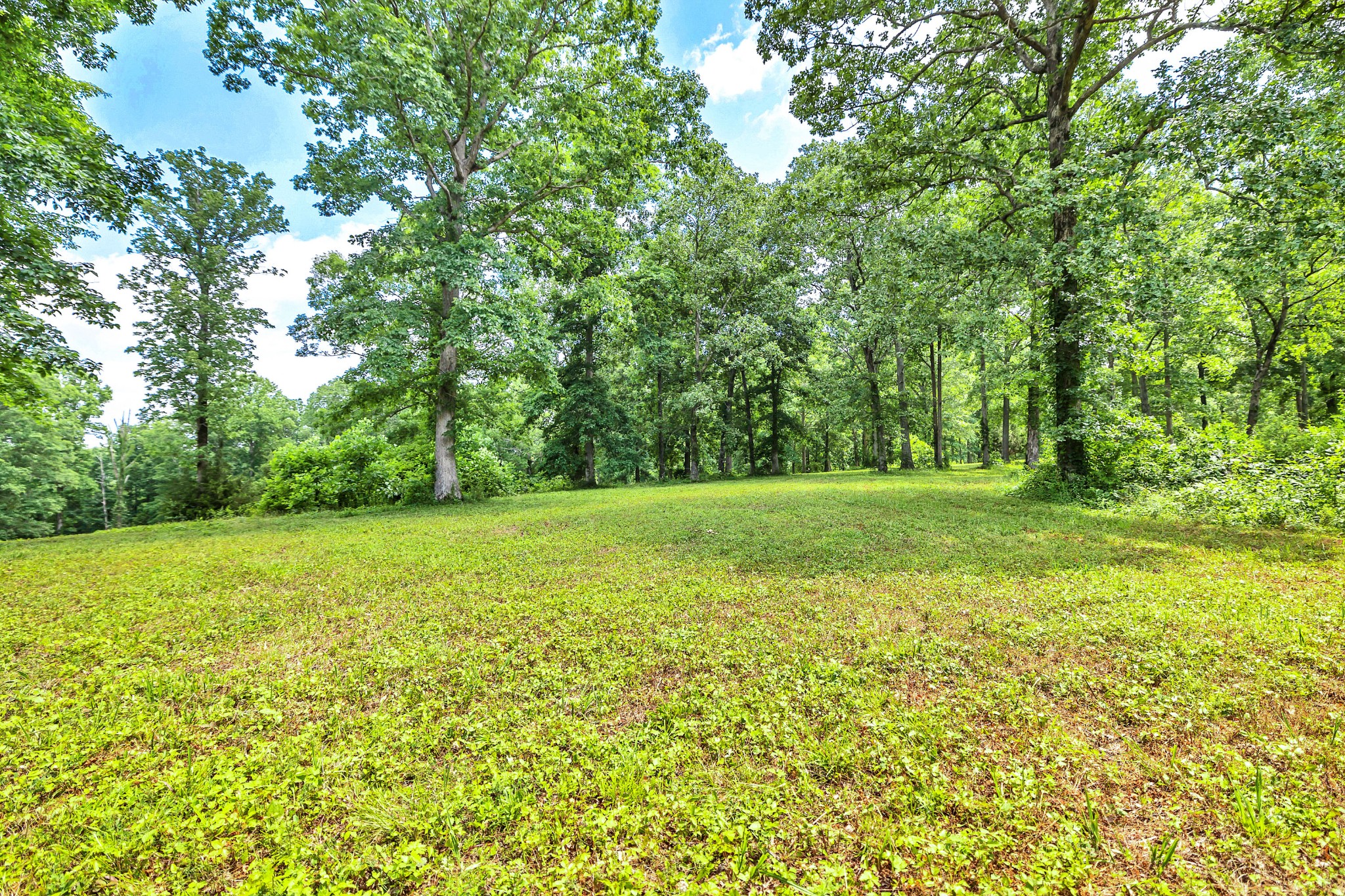 5185 Old Harding Road Fairview, TN 37062 - Photo 18 of 38 a view of outdoor space with deck and yard