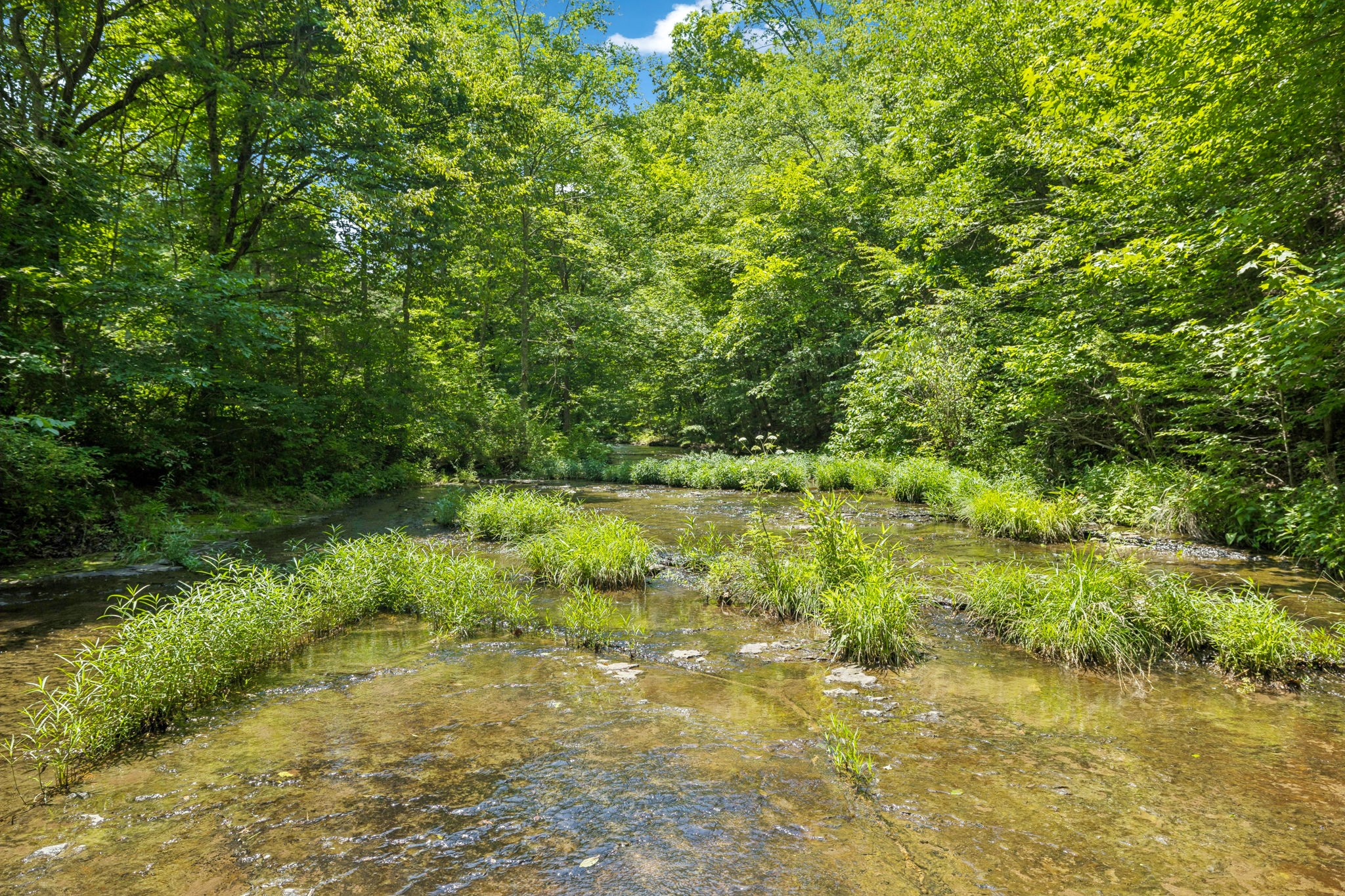 5185 Old Harding Road Fairview, TN 37062 - Photo 19 of 38 a view of a lake with a yard