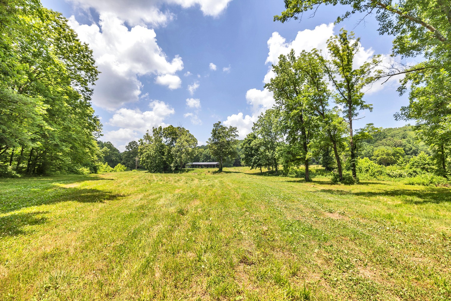 5185 Old Harding Road Fairview, TN 37062 - Photo 20 of 38 a view of a yard with an trees