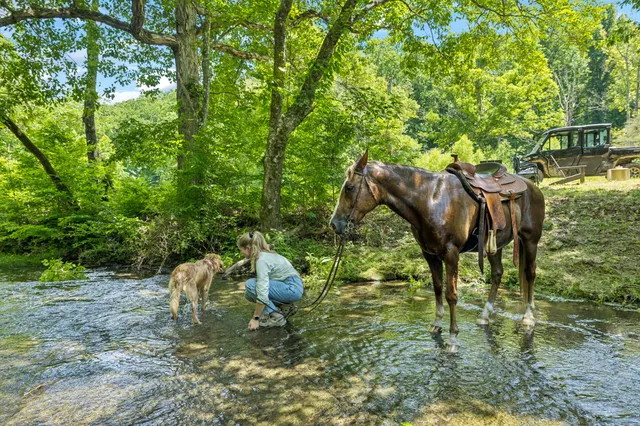 $14,450,000 | 5185 Old Harding Road, Fairview, TN 37062